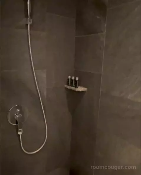 Deluxe Room bathroom picture #7
