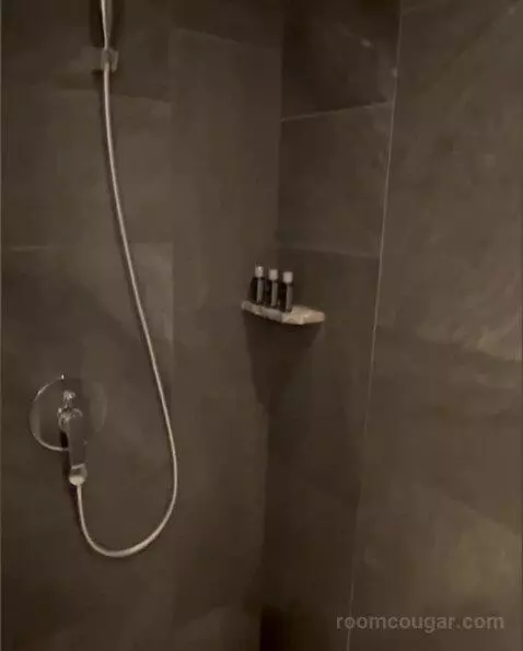 Deluxe Room bathroom picture #8