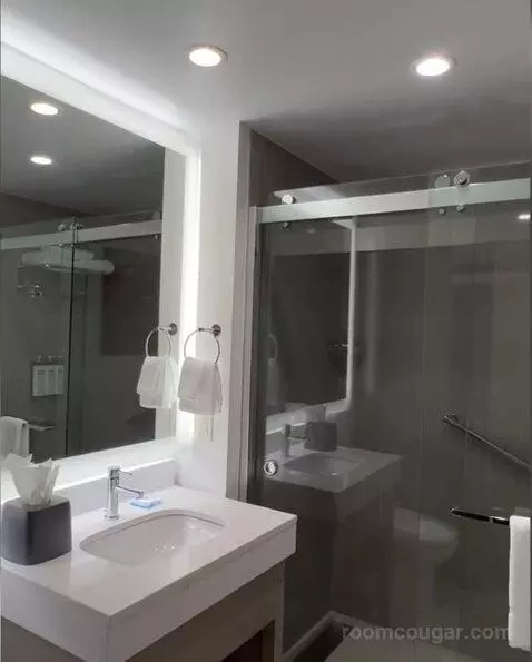 King Room bathroom picture #4