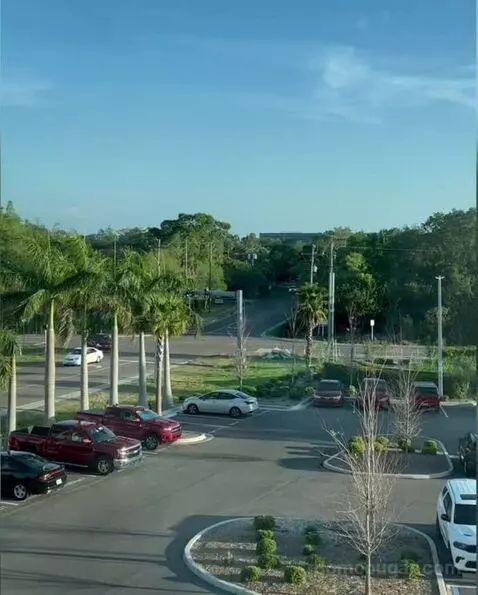 King Room view picture #1