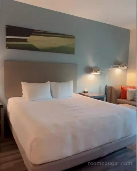 King Room bed picture #6