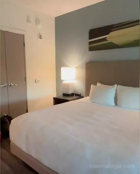 King Room bed picture #8