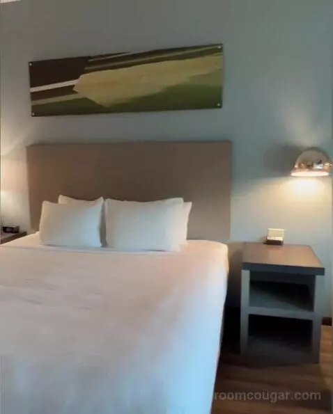 King Room bed picture #9