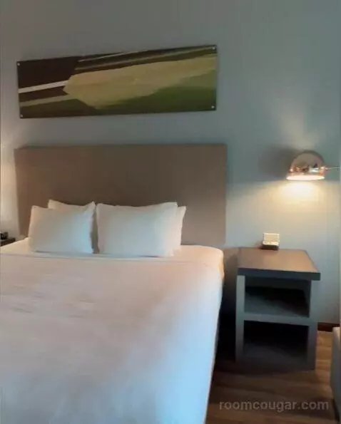 King Room bed picture #10