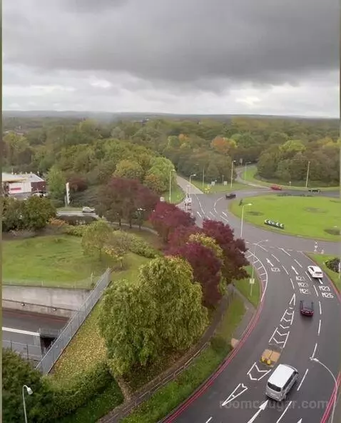 Standard view picture #2