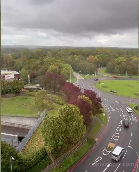 Standard view picture #3