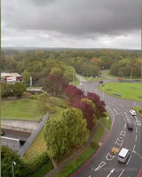 Standard view picture #4