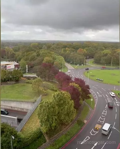 Standard view picture #5