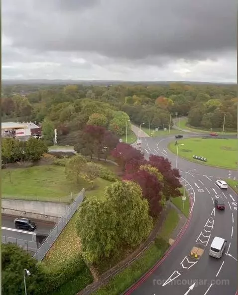 Standard view picture #7