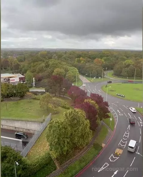 Standard view picture #8