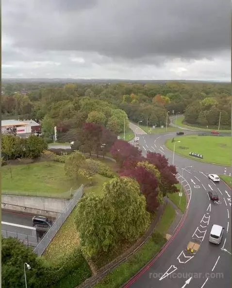 Standard view picture #9