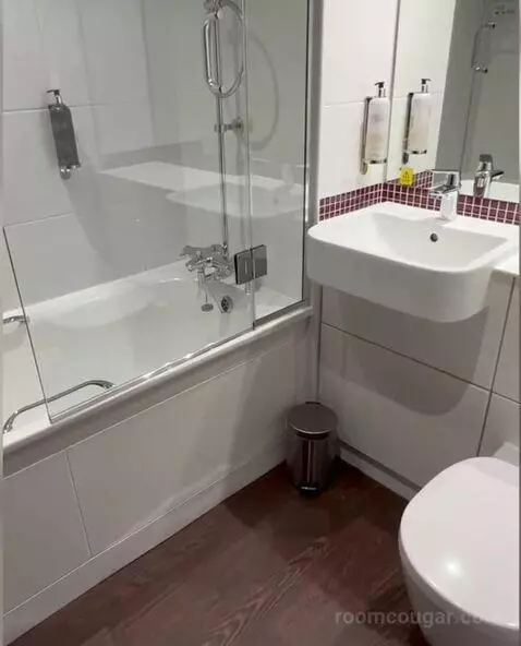 Standard bathroom picture #1