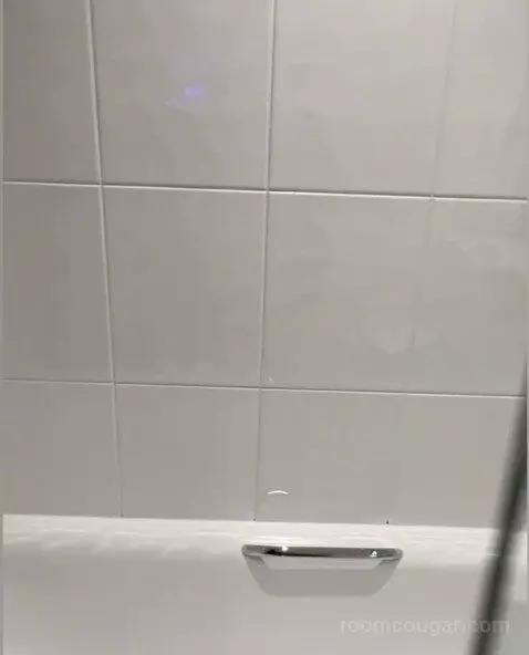 Standard bathroom picture #5