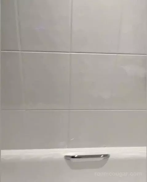 Standard bathroom picture #6