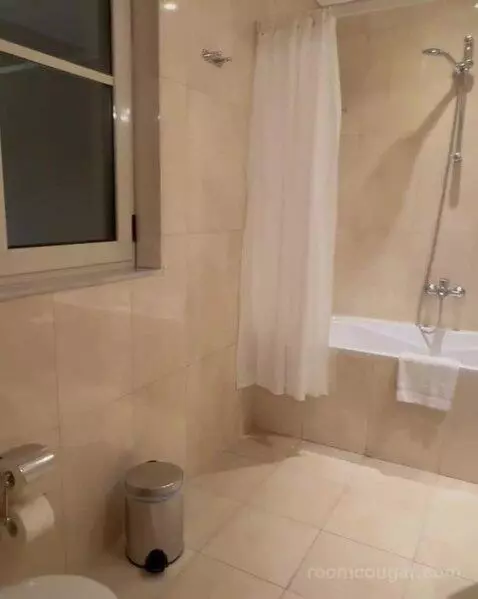 Superior Double or Twin Room bathroom picture #1