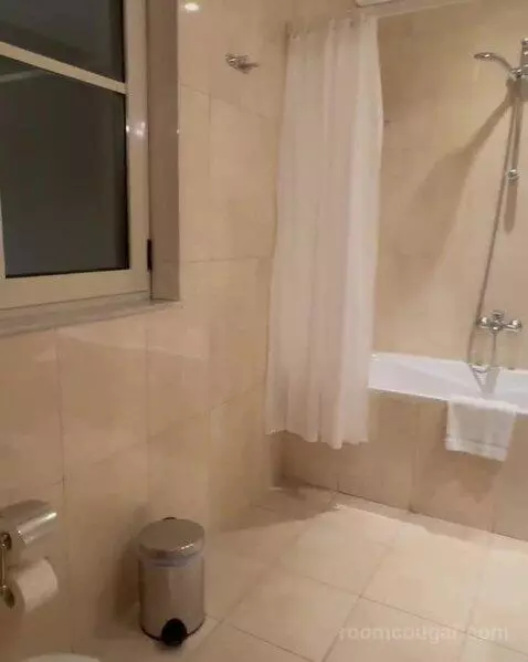 Superior Double or Twin Room bathroom picture #2