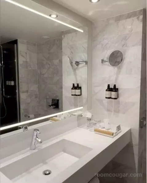 Premium Double or Twin Room bathroom picture #2