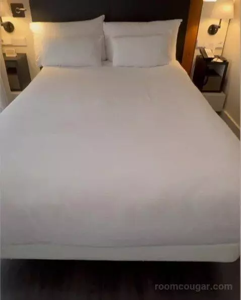 Premium Double or Twin Room bed picture #8
