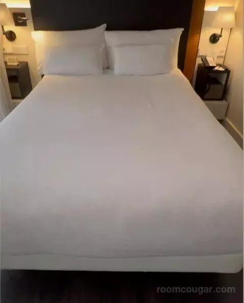 Premium Double or Twin Room bed picture #9