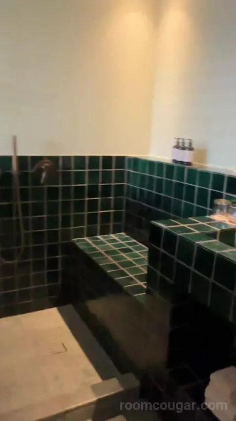Suite with Terrace bathroom picture #2
