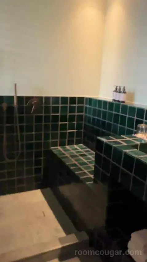 Suite with Terrace bathroom picture #3