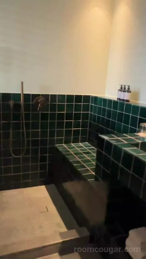 Suite with Terrace bathroom picture #4