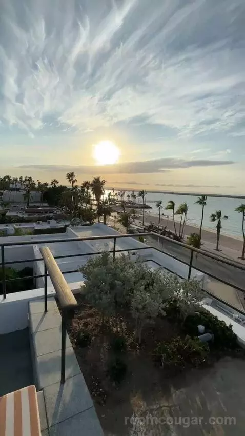 Suite with Terrace view picture #7