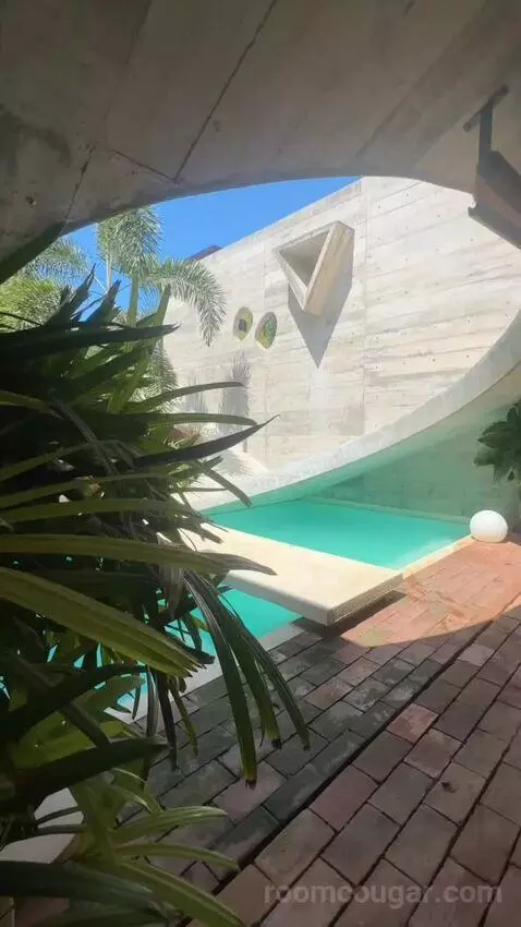 Standard view picture #1