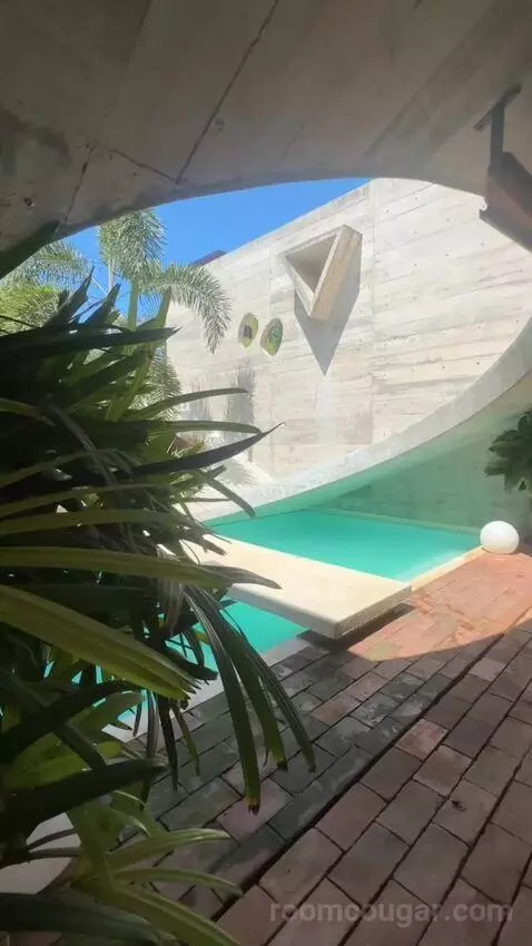 Standard view picture #2