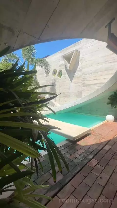 Standard view picture #3