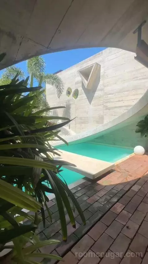 Standard view picture #4