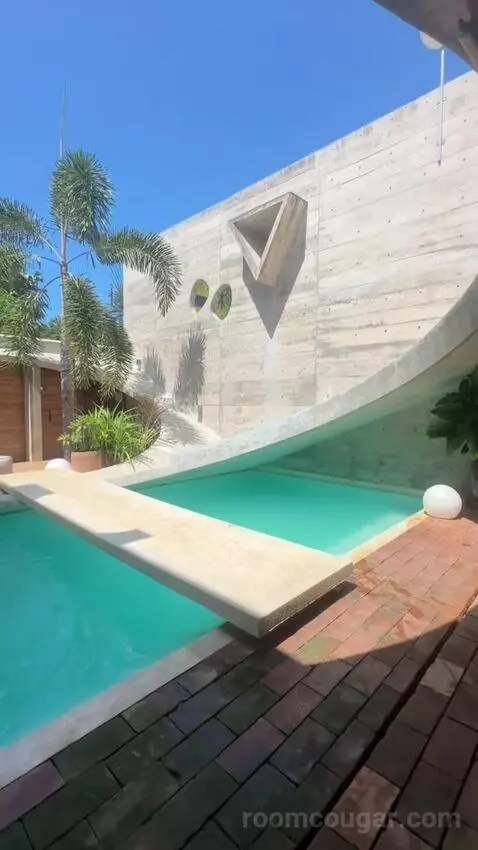 Standard view picture #6