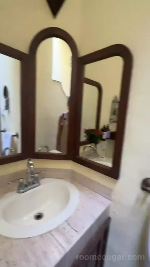 Master Suite bathroom picture #9