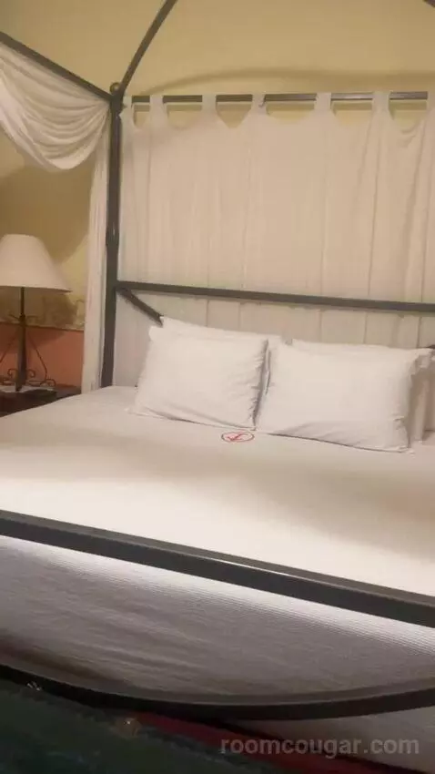 Master Suite bed picture #7