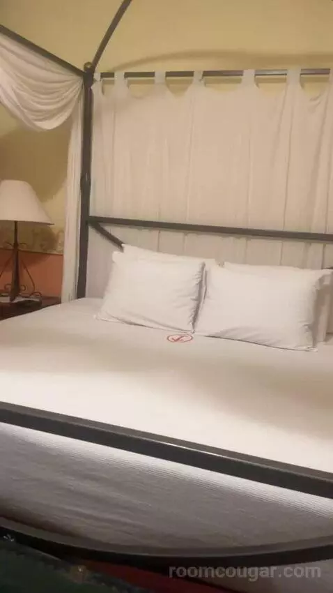 Master Suite bed picture #8