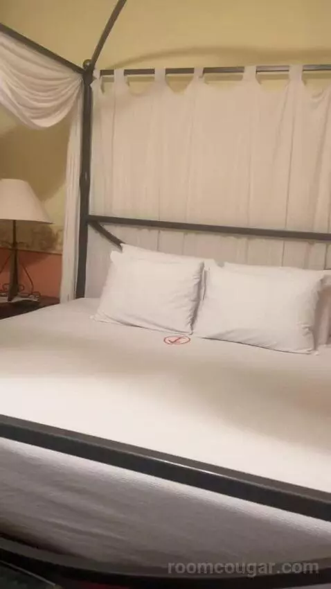 Master Suite bed picture #9
