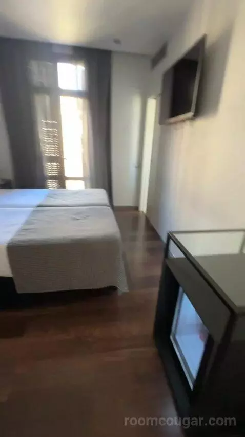 Double or Twin Room with Las Ramblas View (#204) bed picture #1