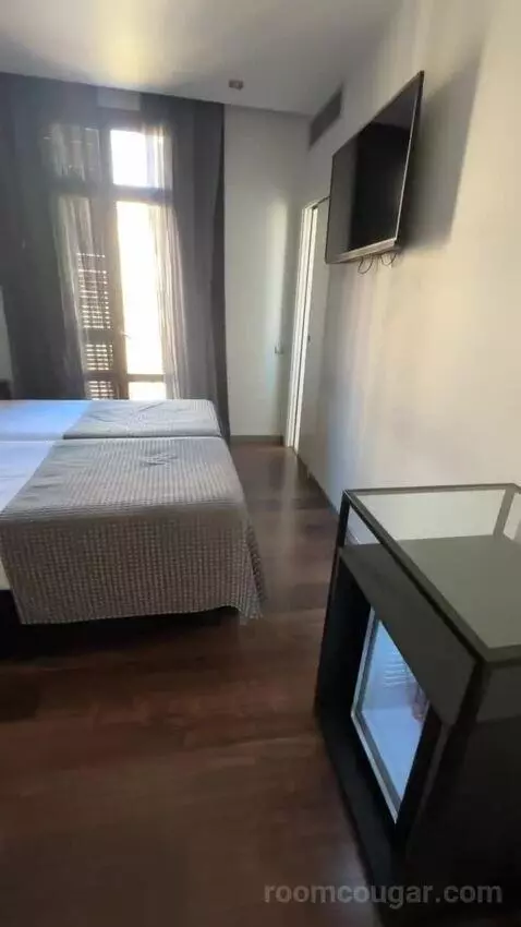 Double or Twin Room with Las Ramblas View (#204) bed picture #2