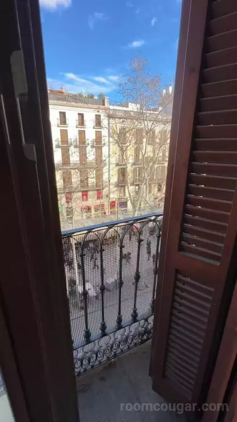 Double or Twin Room with Las Ramblas View (#204) view picture #1