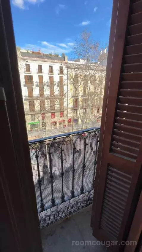 Double or Twin Room with Las Ramblas View (#204) view picture #2