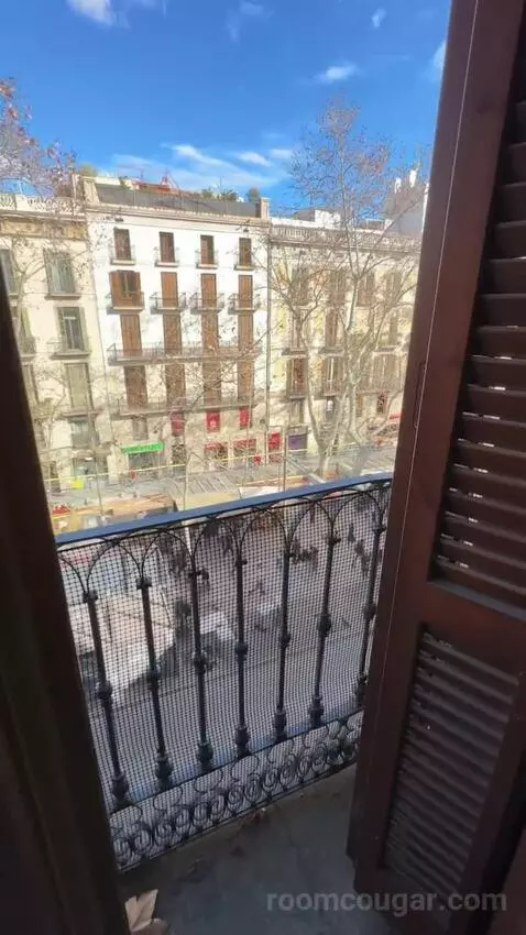 Double or Twin Room with Las Ramblas View (#204) view picture #3