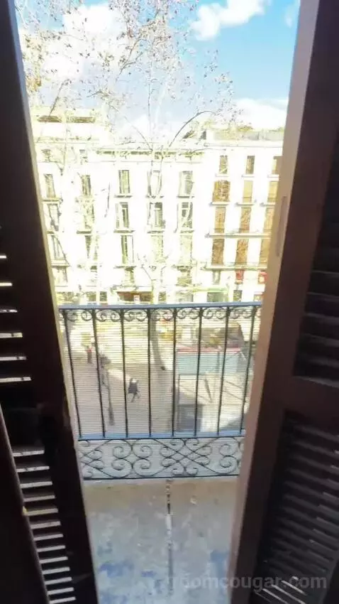 Double or Twin Room with Las Ramblas View (#204) view picture #8