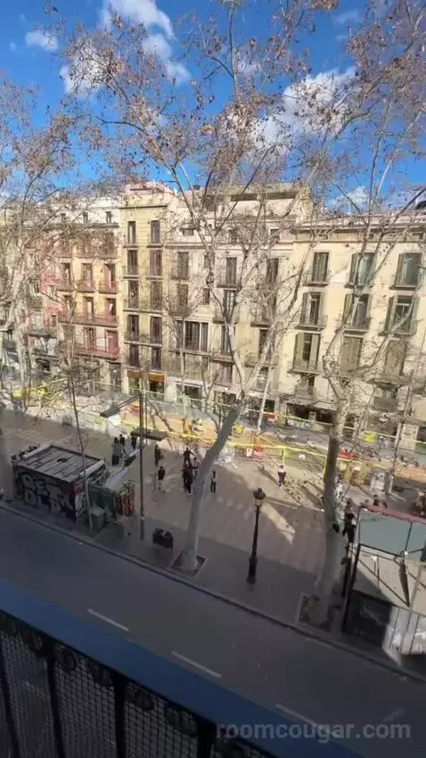 Double or Twin Room with Las Ramblas View (#204) view picture #10