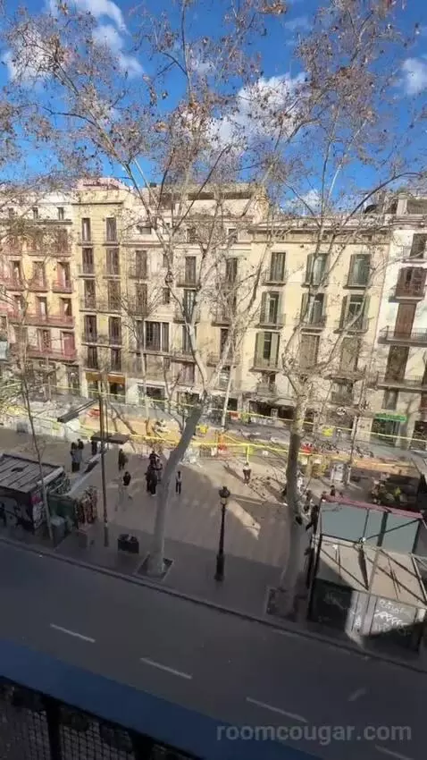 Double or Twin Room with Las Ramblas View (#204) view picture #11
