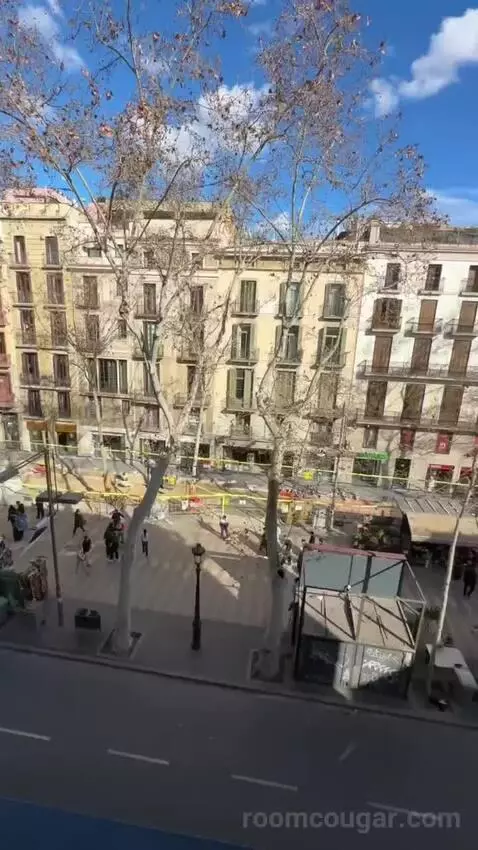 Double or Twin Room with Las Ramblas View (#204) view picture #12
