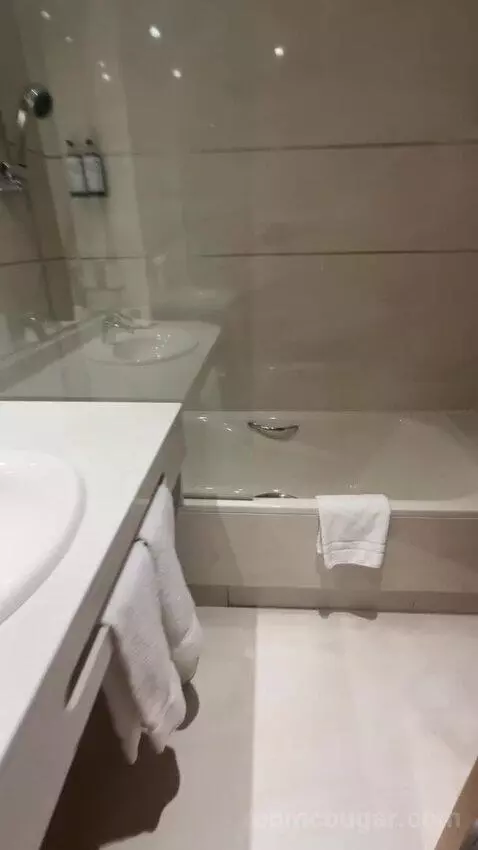 Double or Twin Room bathroom picture #4