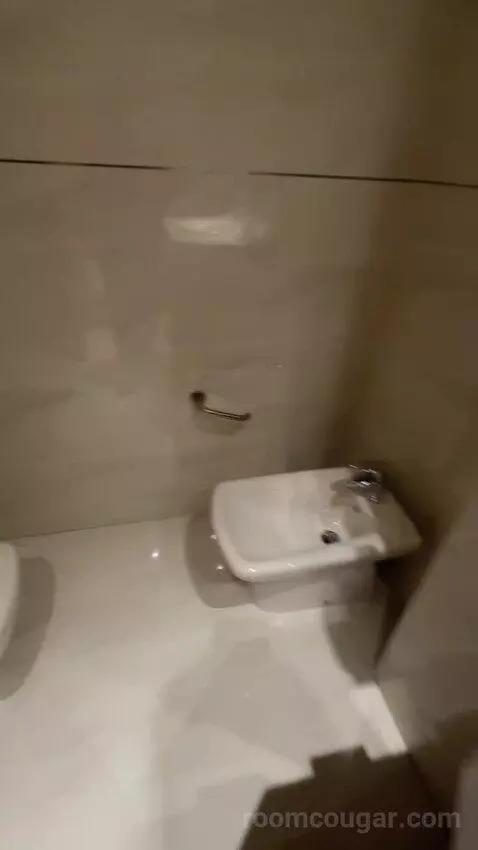 Double or Twin Room bathroom picture #7