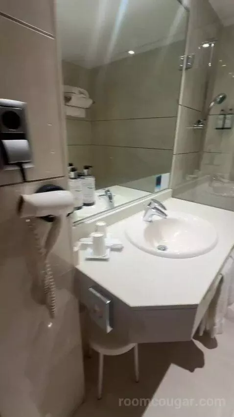 Double or Twin Room bathroom picture #9