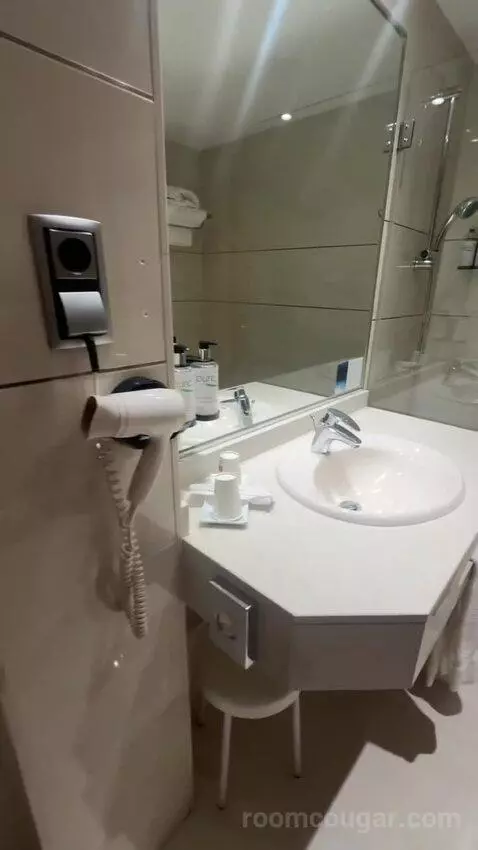 Double or Twin Room bathroom picture #10