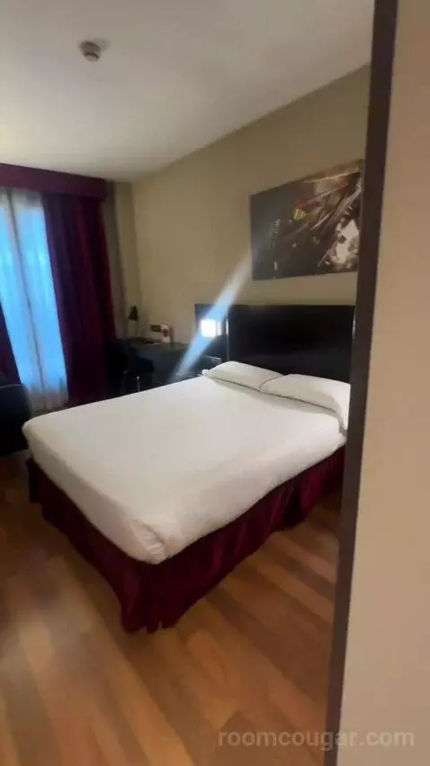 Double or Twin Room bed picture #12
